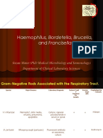 Haemophilus, Bordetella, Brucella,: and Francisella