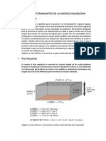 Factores Determinantes de La Microlocalizacion