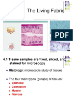 Chapter 4 Tissue - The Living Fabric