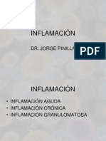 Inflamación 2012