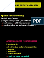 Anemia Aplastik