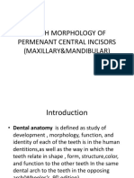 Tooth Morphology of Permenant Central Incisors