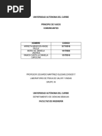 PDF Documento