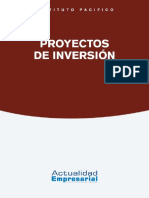 Proyectos de Inversion