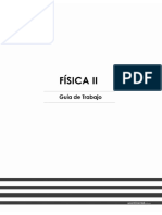 Fisica 2 PDF