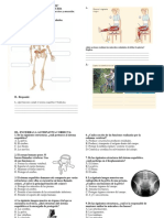 CÚANTO APRENDÍ Prueba de Ciencias Sistema Locomotor