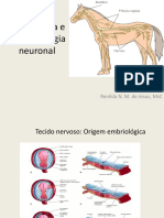 Tecido Nervoso Completo MED VET