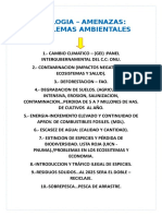 Amenazasmecanismos de Desarrollo Limpio Aa