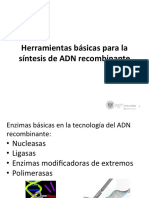 04 Herramientas Básicas en La Tecnología Del ADN Recombinante PDF