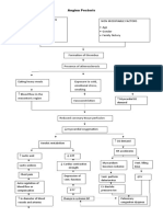 Angina Pectoris Pathophysiology