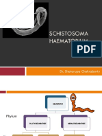 Schistosoma Haematobium: Dr. Shatarupa Chakraborty