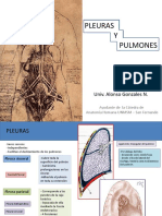 Pleuras y Pulmones