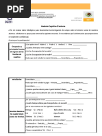 PDF Documento