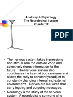 Anatomy and Physiology Chapter 19 Neurological System