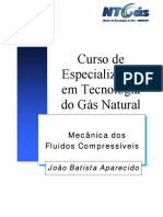 Mecanica Dos Fluidos Compressíveis