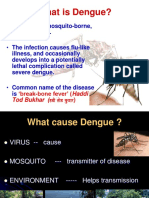 Dengue Prevention