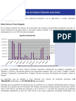 Agricultura de Temporal en El Trópico Húmedo Mexicano