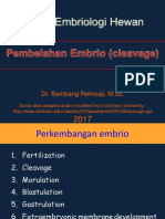 Pembelahan Embrio (Cleavage) S2 2017