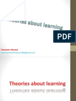 Theories of Learning