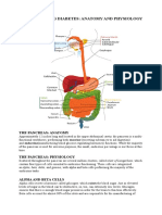 Understanding Diabetes: Anatomy and Physiology