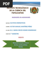 Ensayo Combustibles Fosiles