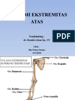 Anatomi Ekstremitas Superior