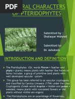 General Characters of Pteridophytes: Submitted By: Shafaque Waheed Submitted To: Dr. Ashutosh