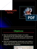 Alineación Total Presentacion2