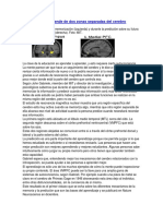 El Aprendizaje Depende de Dos Zonas Separadas Del Cerebro