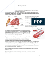 Fisiología Muscular y Neuromuscular