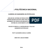 Determinar El Incremento de Producción Mediante El Cambio Del Sap