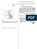 Sistema Respiratório III