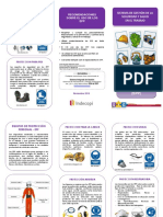 Triptico de Equipos de Proteccion Personal