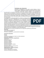 Areas de Desarrollo Profesional Del Pedagogo