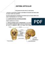 El Sistema Articular