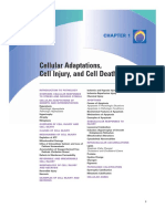 Cell Injury Robbins