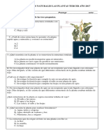 Prueba Ciencias Naturales Las Plantas Tercer Año 2017