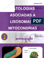 Diapositivas Patologias Asociadas A Lisosomas y Mitocondrias