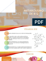 Metabolismo de b12