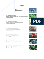 Nombres Cientificos Plantas (El Salvador)