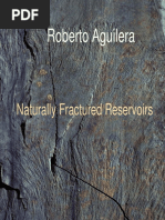 Naturally Fractured Reservoirs