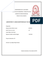 Lab 3 Fir315