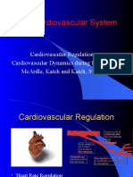 Cardiovascular Regulation