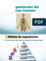 Anatomia y Fisiologia Del Cuerpo Humano