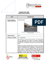 Ciudad Salitre PDF