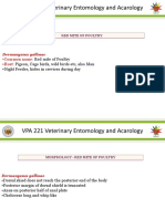 VPA 221 Veterinary Entomology and Acarology: Red Mite of Poultry Pigeon, Cage Birds, Wild Birds Etc, Also Man