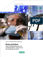 Guiapractica Examen Orina PDF