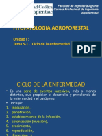 Ciclo de Enfer Fitopatologia AF