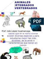 Animales Vertebrados