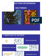 3bMorfologiaBacterias 26630